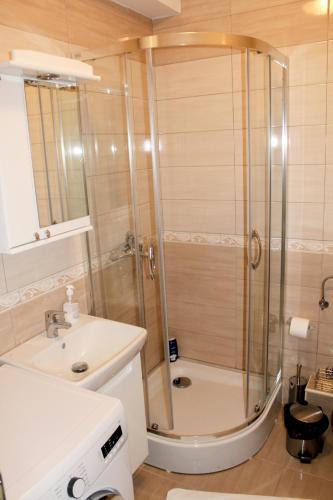 a bathroom with a shower and a sink at Zlatibor Hills in Zlatibor