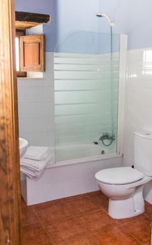 a bathroom with a shower and a toilet and a sink at Casa de Aldea el Navaron in Cofiño