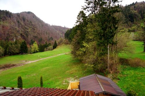Příroda nedaleko apartmánu