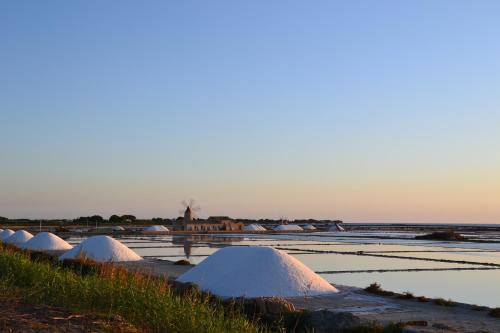 a row of white domes in a field at Case Vacanza Torre Lupa in Marsala