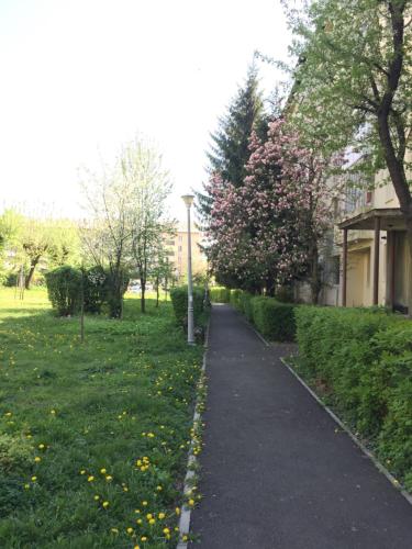un sentiero pedonale in un parco con fiori sull'erba di Gold Apartments a Baia Mare