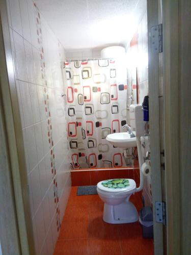 a bathroom with a toilet and a sink at Vicky Apartments in Kotor