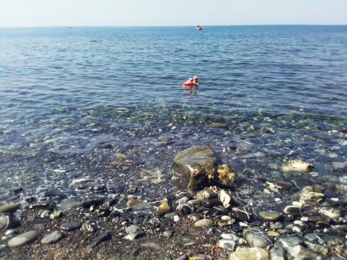 a person swimming in the water on a rocky beach at Villa Calamona in Acciaroli
