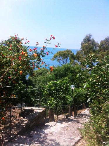 a garden with orange trees and bushes at Villa Calamona in Acciaroli