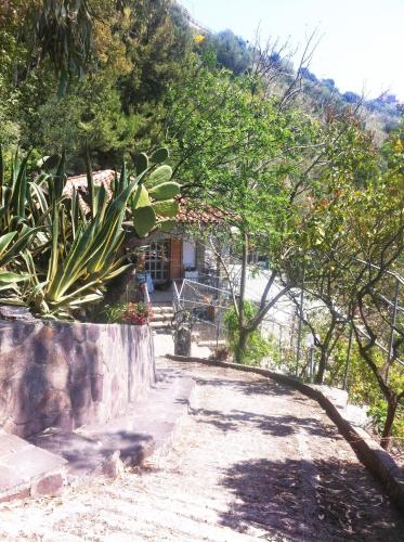 a garden with trees and a house on a hill at Villa Calamona in Acciaroli