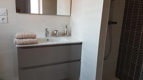 a bathroom with a sink and a shower at Villa Géna in Saint-Médard-dʼEyrans