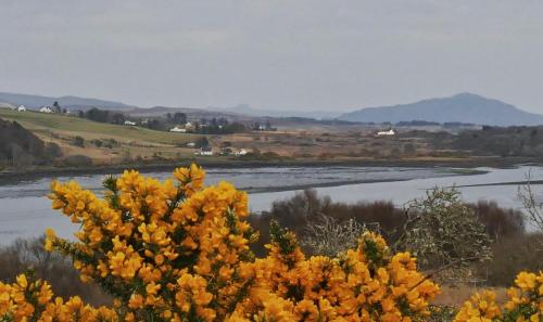a view of a river with yellow flowers at Old Nurses Cottage in Skeabost