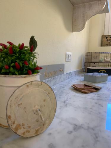 a counter with a pot of flowers and a plant at B&B ALVINO in Bientina