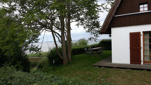 a white house with a table and a tree at Der Fuchsbau in Meesiger