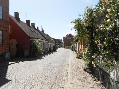 a cobblestone street in a village with houses at Townhouse Lund in Lund