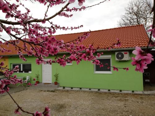 a green house with pink flowers in front of it at Napsugár Vendégház in Újudvar