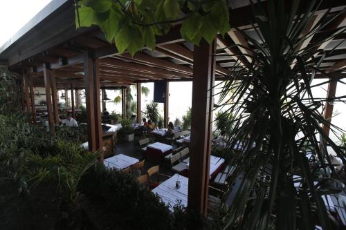 Κήπος έξω από το Beach Hotel Split