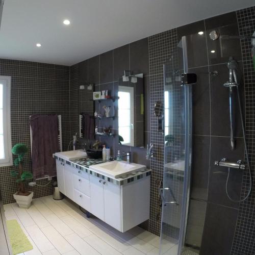une salle de bain avec un lavabo et une douche dans l'établissement Villa du Courboulay, à Sargé Les Le Mans 
