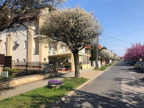 Villa Prestige 8380 Hévíz, Kodaly Zoltan u. 26 kép - 3