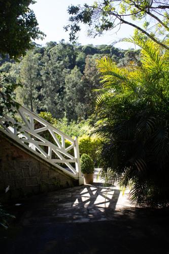 Κήπος έξω από το Villa Violeta