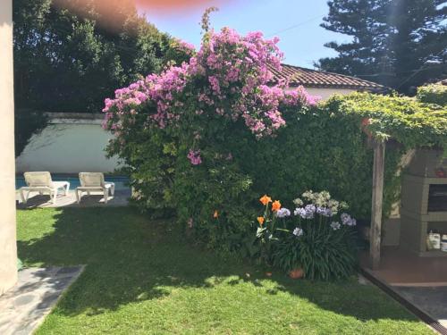 Gallery image of Villa Black Bnb in Mar del Plata