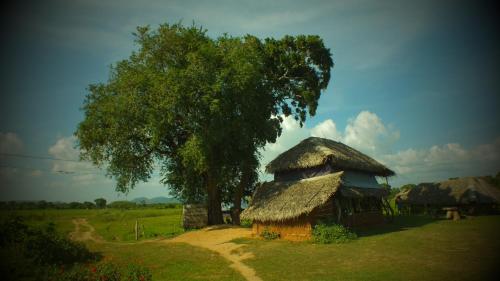 Gallery image of Jungle House in Yala