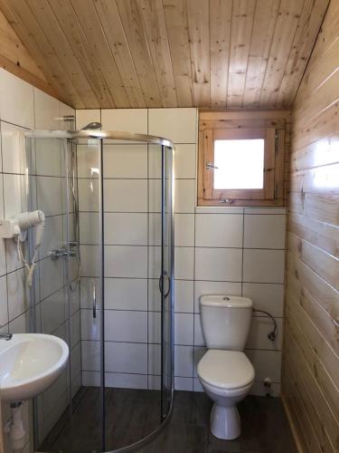 a bathroom with a shower and a toilet and a sink at Domki Letniskowe Oses in Stegna