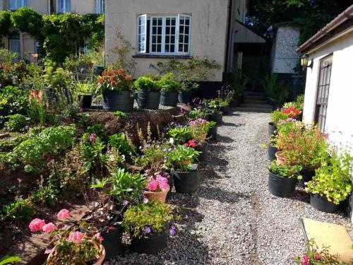 uma fila de vasos de plantas em frente a uma casa em Brambles Bed and Breakfast em Tiverton