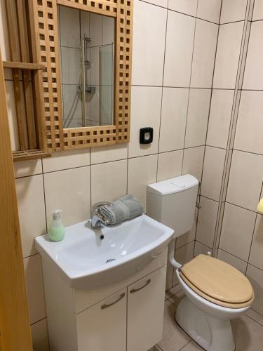 een badkamer met een toilet, een wastafel en een spiegel bij Apartments Čeh in Ližnjan