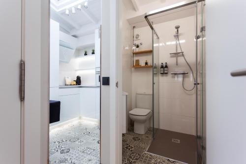 a bathroom with a shower and a toilet at APARTAMENTOS FRANJA 55 in A Coruña