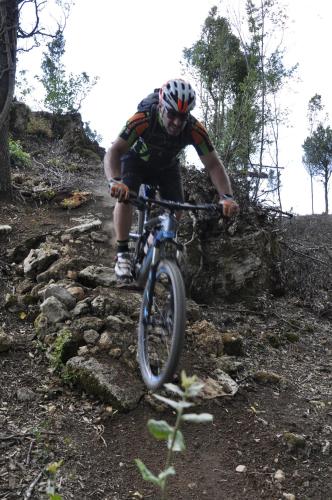 Ποδηλασία στο Agriturismo Bike Hotel Podere Giarlinga ή στη γύρω περιοχή