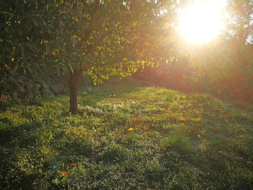 Gallery image of Cottage La Torre del Pittore in Bonassola