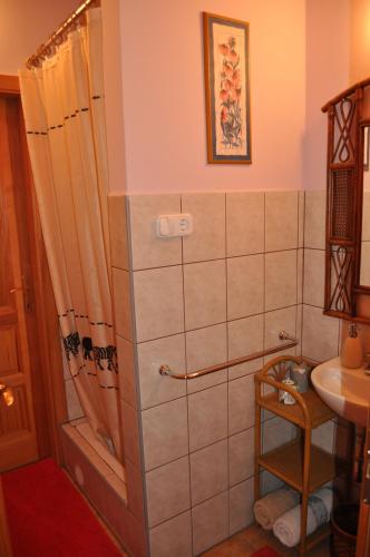 a bathroom with a shower and a sink at Apartman egy Makovecz Imre tervezte házban in Ispánk