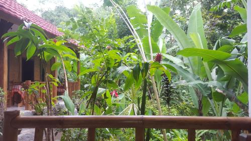 a garden with green plants in front of a house at Tetebatu Indah Homestay in Tetebatu