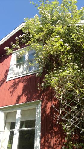 a red building with a window and a tree at Kylås Vildmark in Skillingaryd