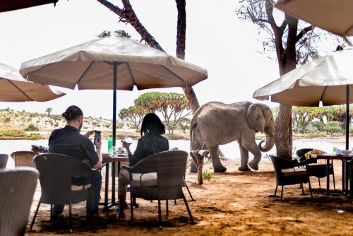 Elephant Bedroom Camp - Samburu