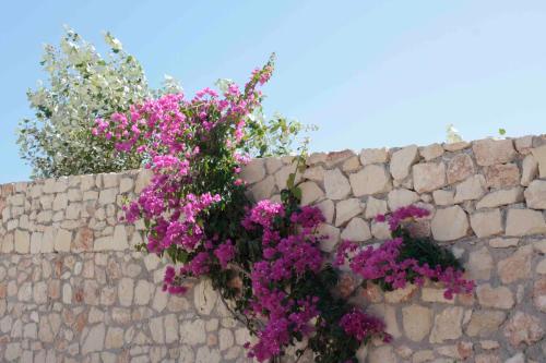 Gallery image of Crete View in Marathi