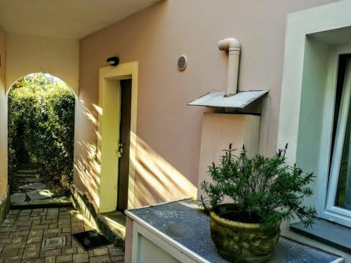 a kitchen with a plant on a counter next to a door at Costa Morroni in Levanto