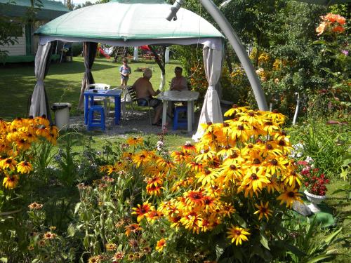 Aed väljaspool majutusasutust Camping Casuta Mihaela