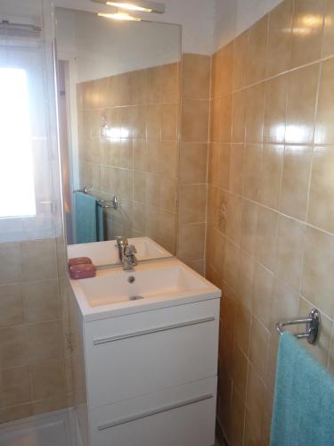 une salle de bain avec un lavabo et un miroir dans l'établissement Duplex T2 mezzanine, Saint Pierre la Mer, à Saint Pierre La Mer