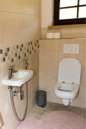 a bathroom with a toilet and a sink at Chata Hrozenka WELLNESS in Nový Hrozenkov