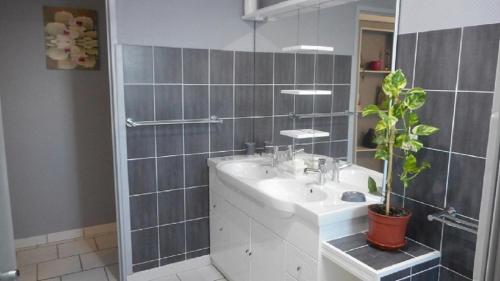 a bathroom with a sink and a potted plant at La Cigale in Malaucène