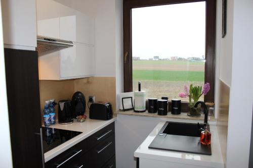 Kuhinja oz. manjša kuhinja v nastanitvi Apartament Fibra Aroma