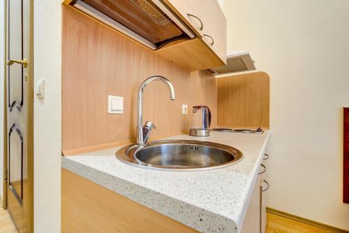 a kitchen with a stainless steel sink on a counter at Guest rooms on Kirochnaya 22 in Saint Petersburg