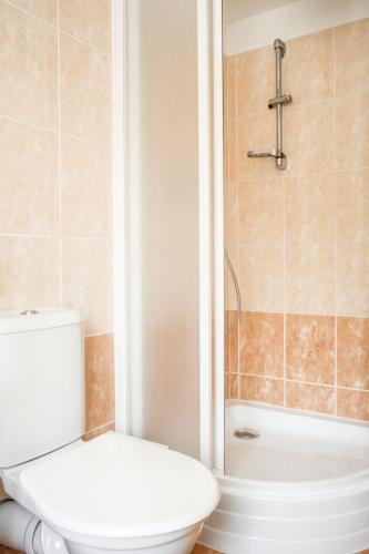 a bathroom with a white toilet and a shower at Penzion Bílá voda in Harrachov