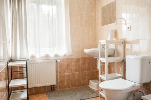 a bathroom with a toilet and a sink and a window at Penzion Bílá voda in Harrachov