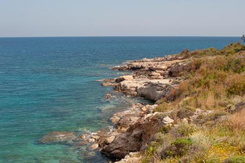 a view of the ocean from a rocky shore at Mimoza in Spetses