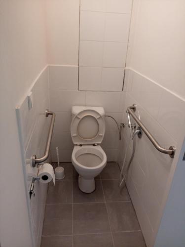 a small bathroom with a toilet in a stall at Apartmány Karviná in Karviná