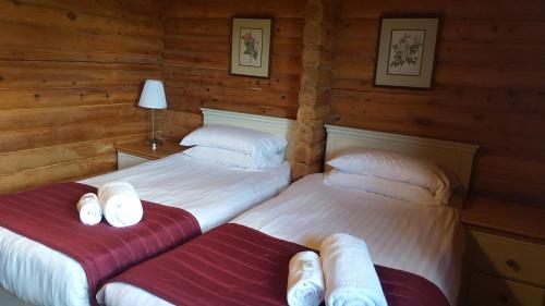 two beds in a room with wooden walls at Pantglas Hall Holiday Lodges and Leisure Club in Carmarthen