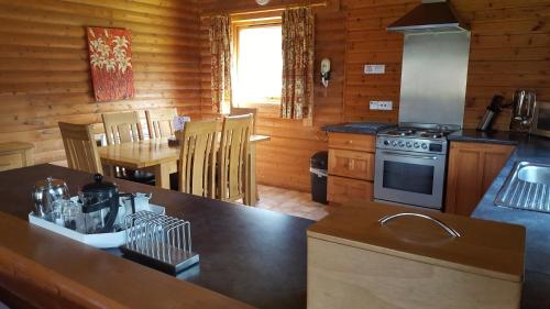 Η κουζίνα ή μικρή κουζίνα στο Pantglas Hall Holiday Lodges and Leisure Club
