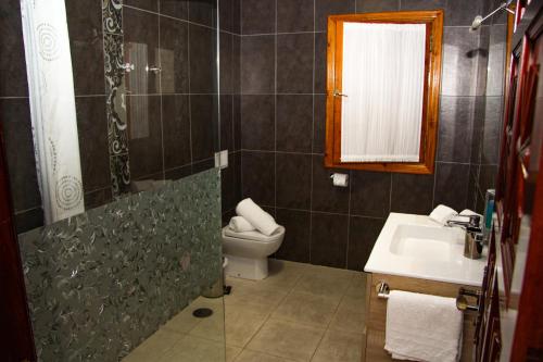 a bathroom with a shower and a toilet and a sink at Il Sogno di Gio de la Laguna in La Laguna