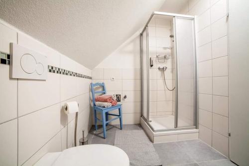 a bathroom with a shower and a toilet and a blue chair at Ferienwohnung bei Cooldog in Imst