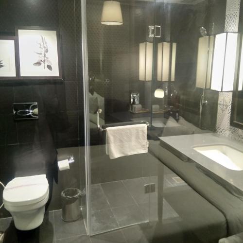 a bathroom with a shower and a toilet and a sink at Country Inn & Suites By Radisson Jammu in Jammu