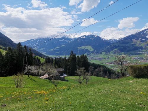 a green field with mountains in the background at Apart Ponholz in Hart im Zillertal