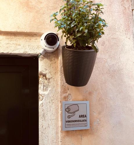 Certifikát, hodnocení, plakát nebo jiný dokument vystavený v ubytování San Lio Tourist House